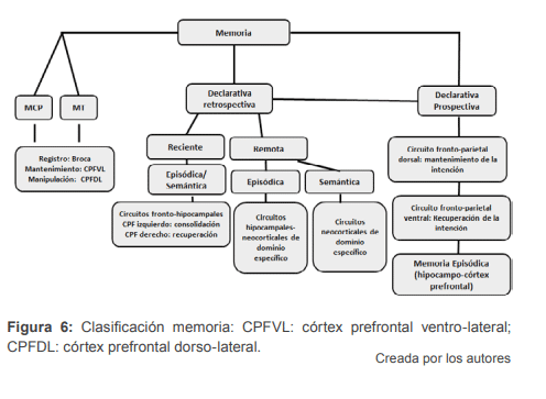 EMT e reabilitação cognitiva