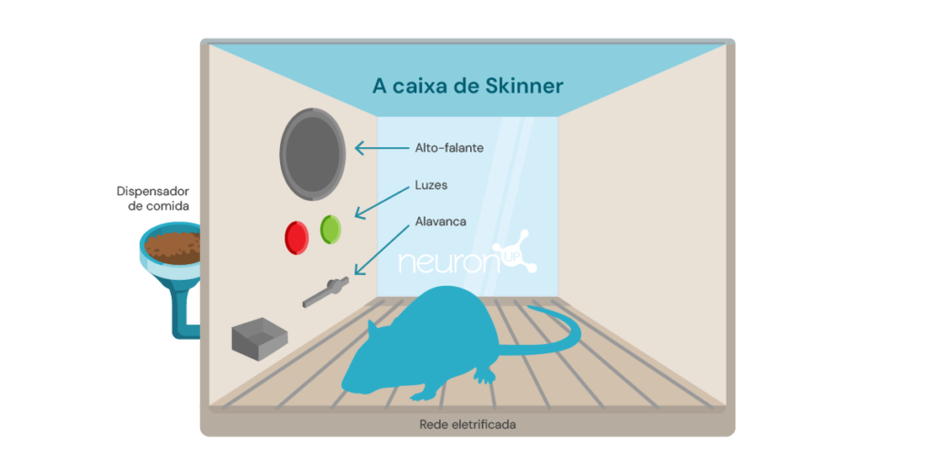 A caixa de Skinner. NeuronUP.