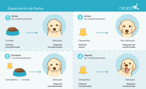 NeuronUP Labs Experimentos de Pavlov