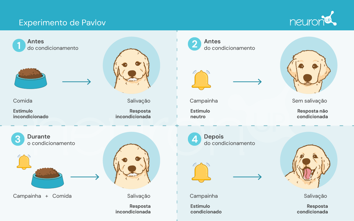 NeuronUP Labs Experimentos de Pavlov